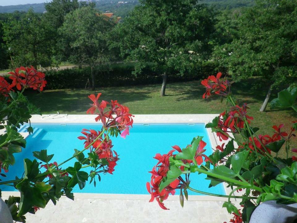 Hotel Pansion Oliva à Krnica Extérieur photo